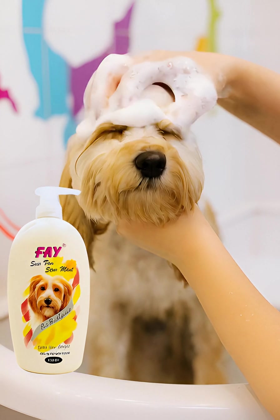 @PetCare