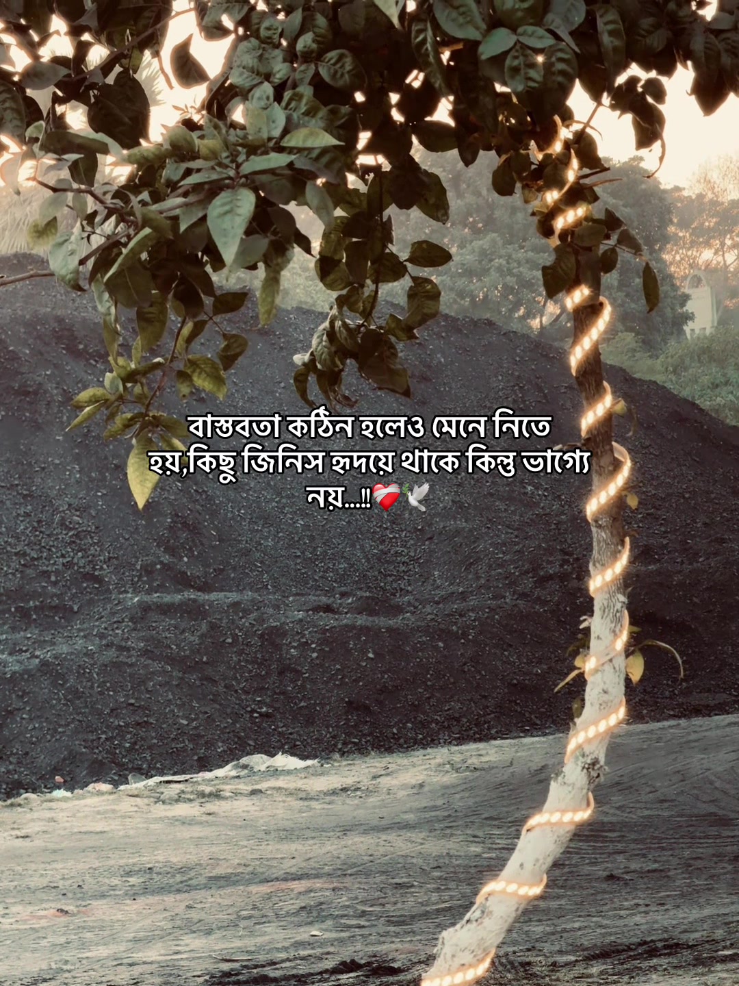 @Jahidul lslam 95