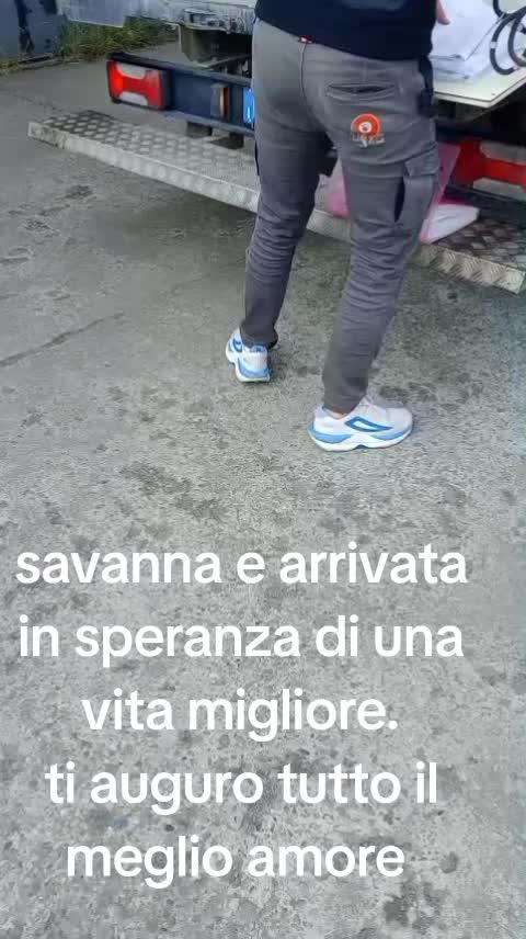 @Zito Calogera