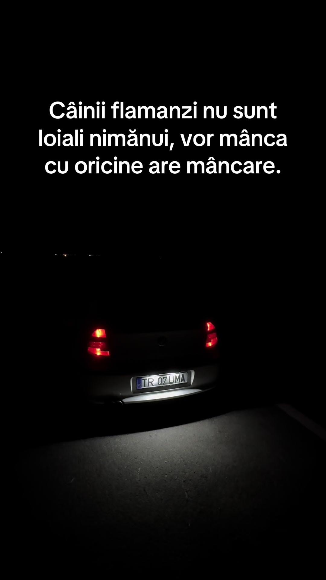 @alinmarius99