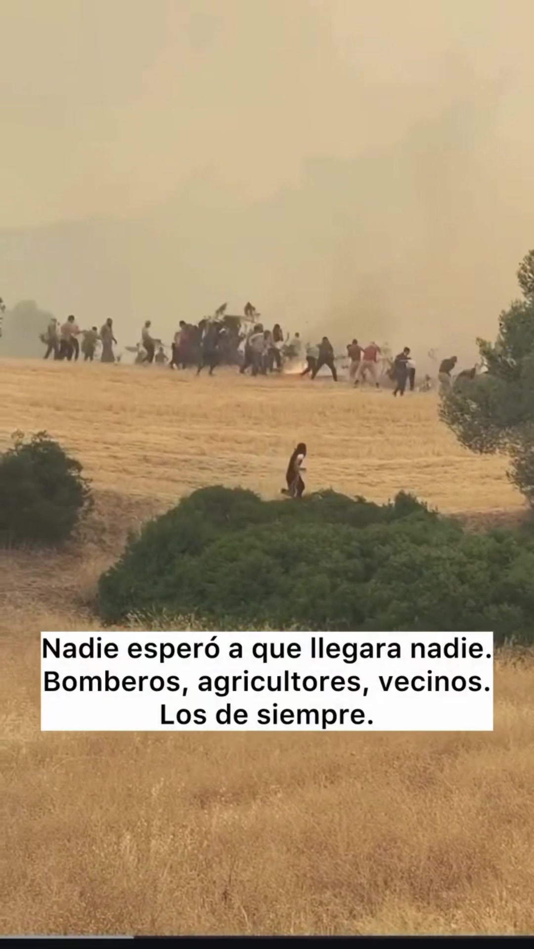 @🗣️Dando Eco TV| Crónica Negra