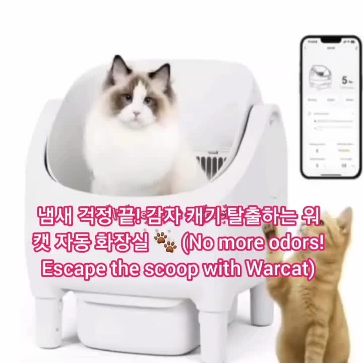 @Hyun An