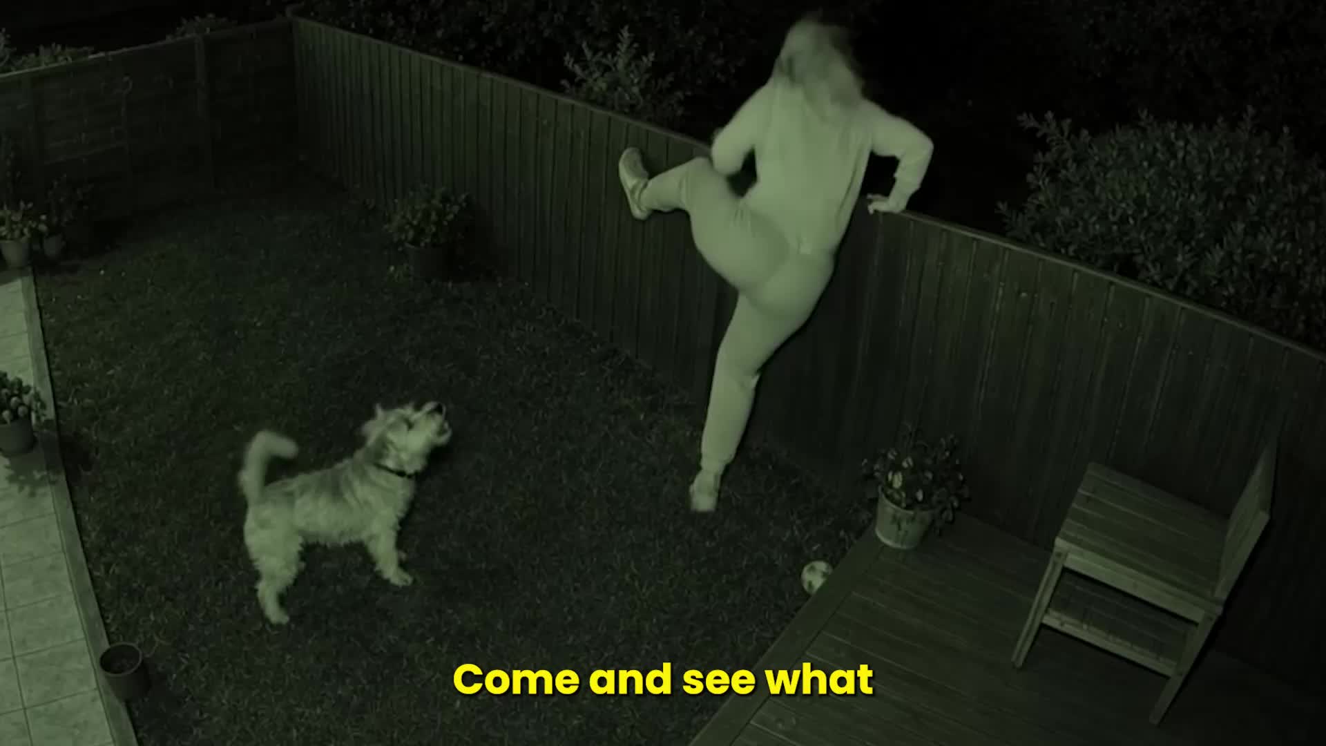 @Go Fetch