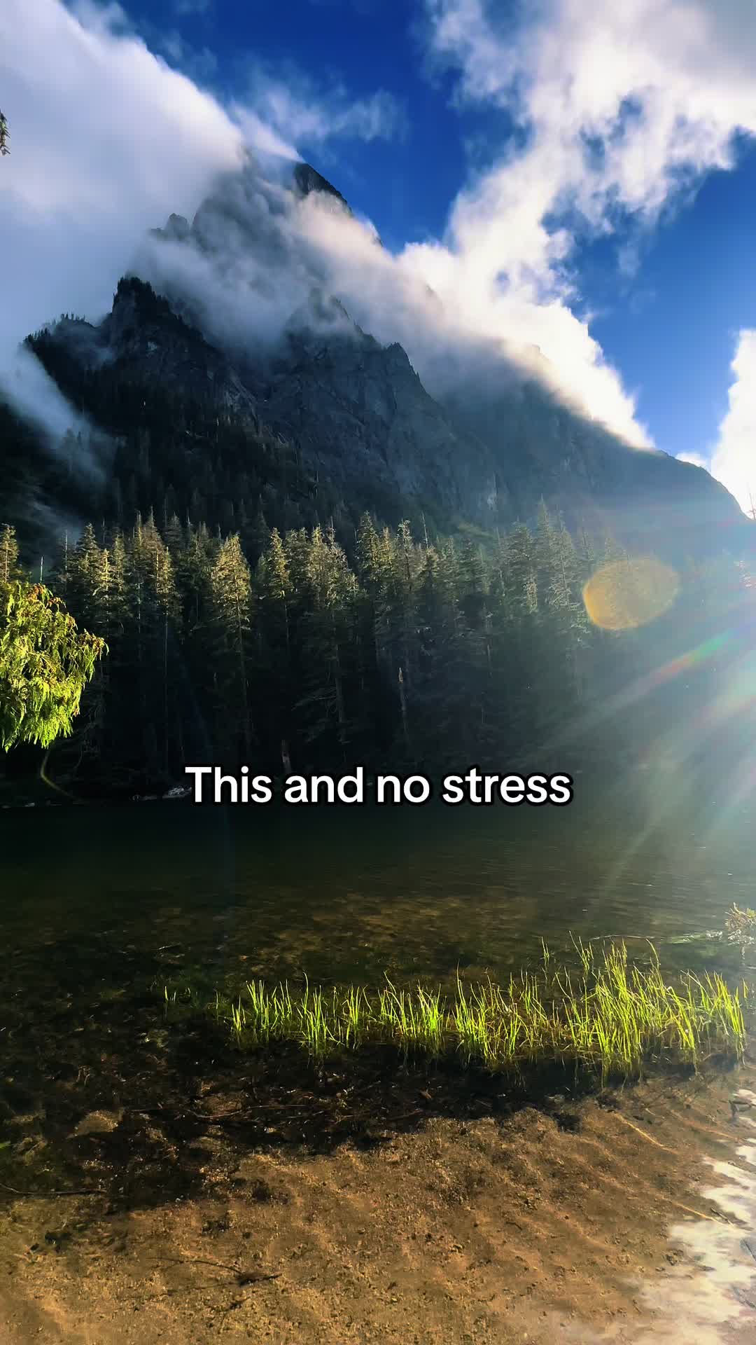 @🌲 James | WA 🏔️