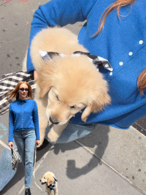 @Stitch Fix