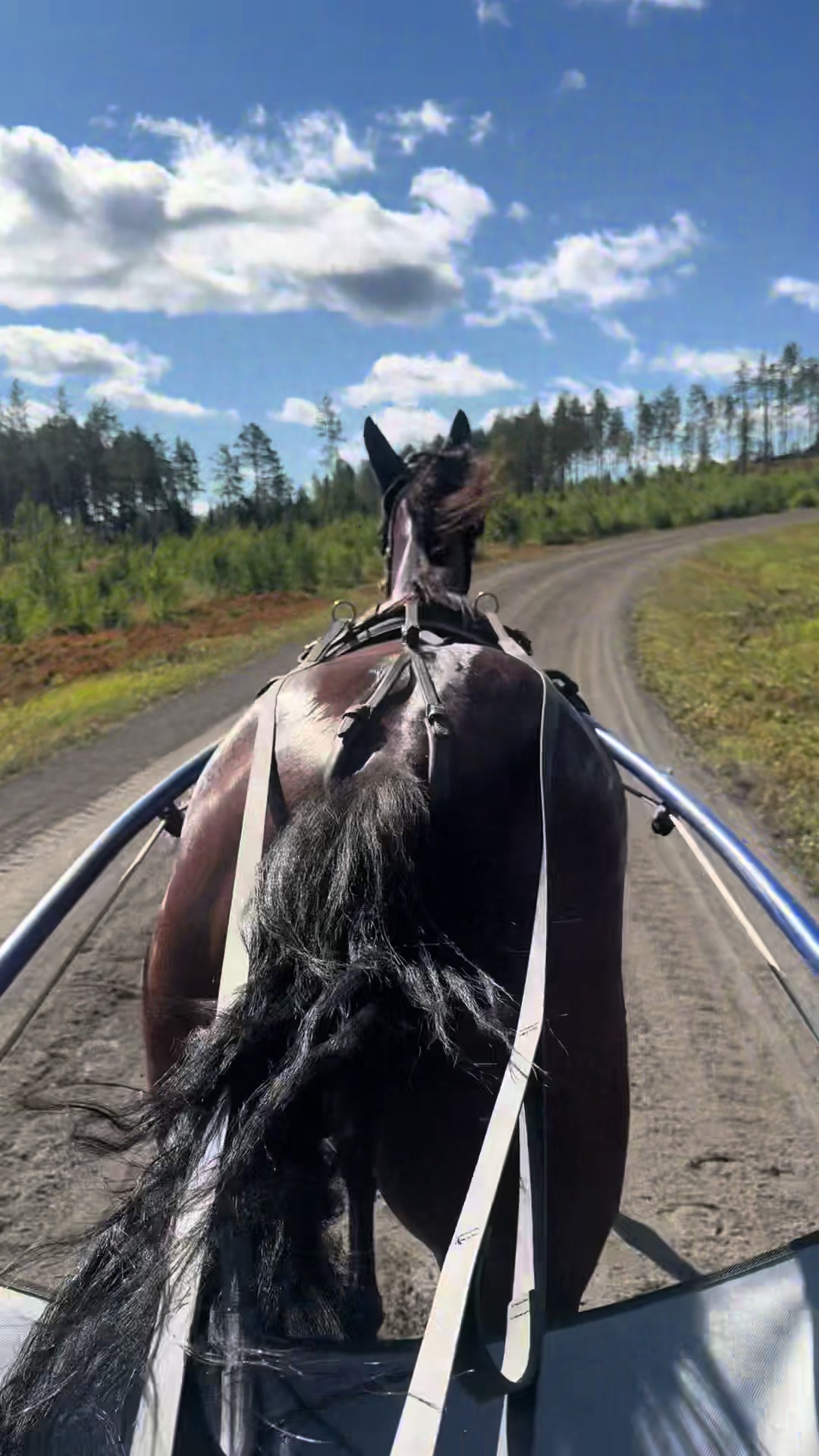 @Rakkautta ja raviurheilua