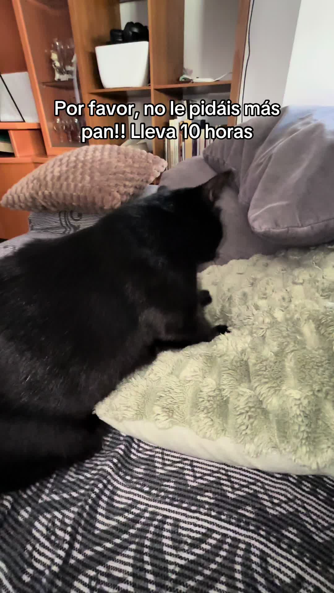 @BlackCatsMatter