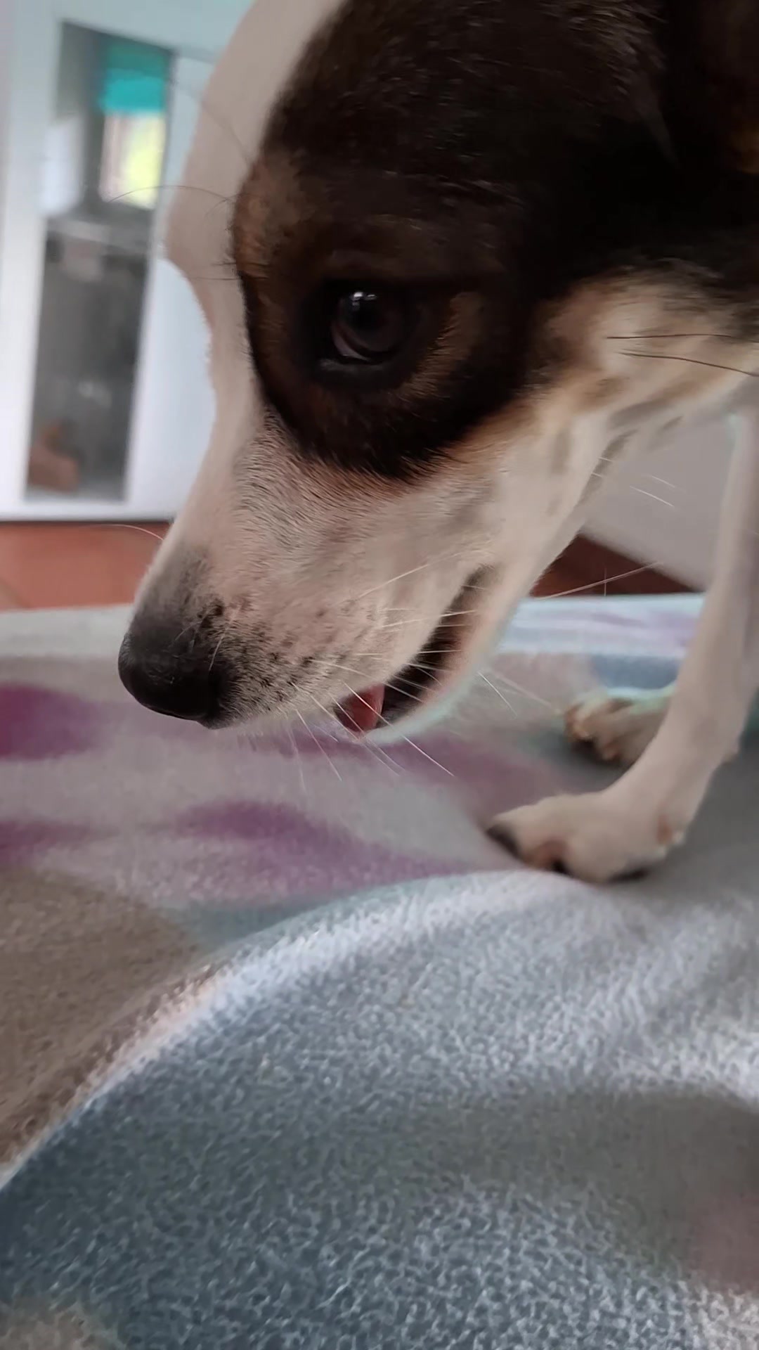 @Maya'sAbenteuer_HexeErinnerung