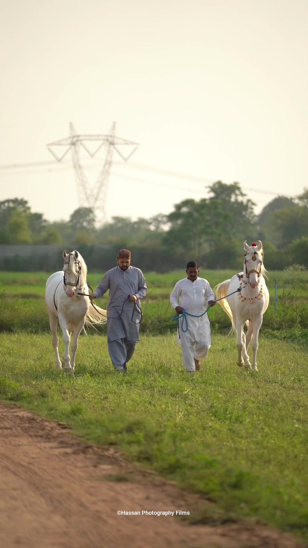@☀️SUNRISE 🐎FARMS Rawalpindi