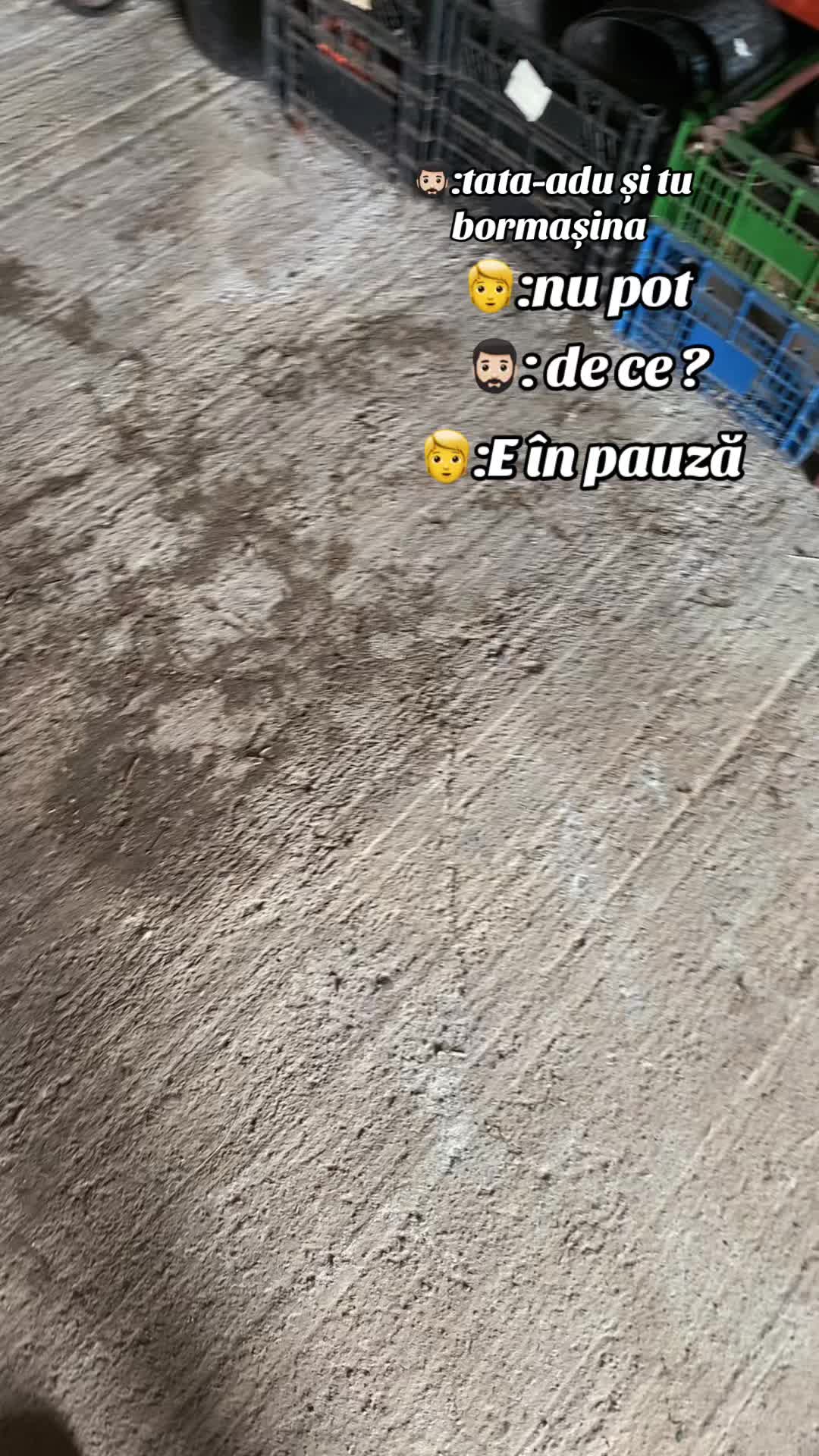 @Olteanuu