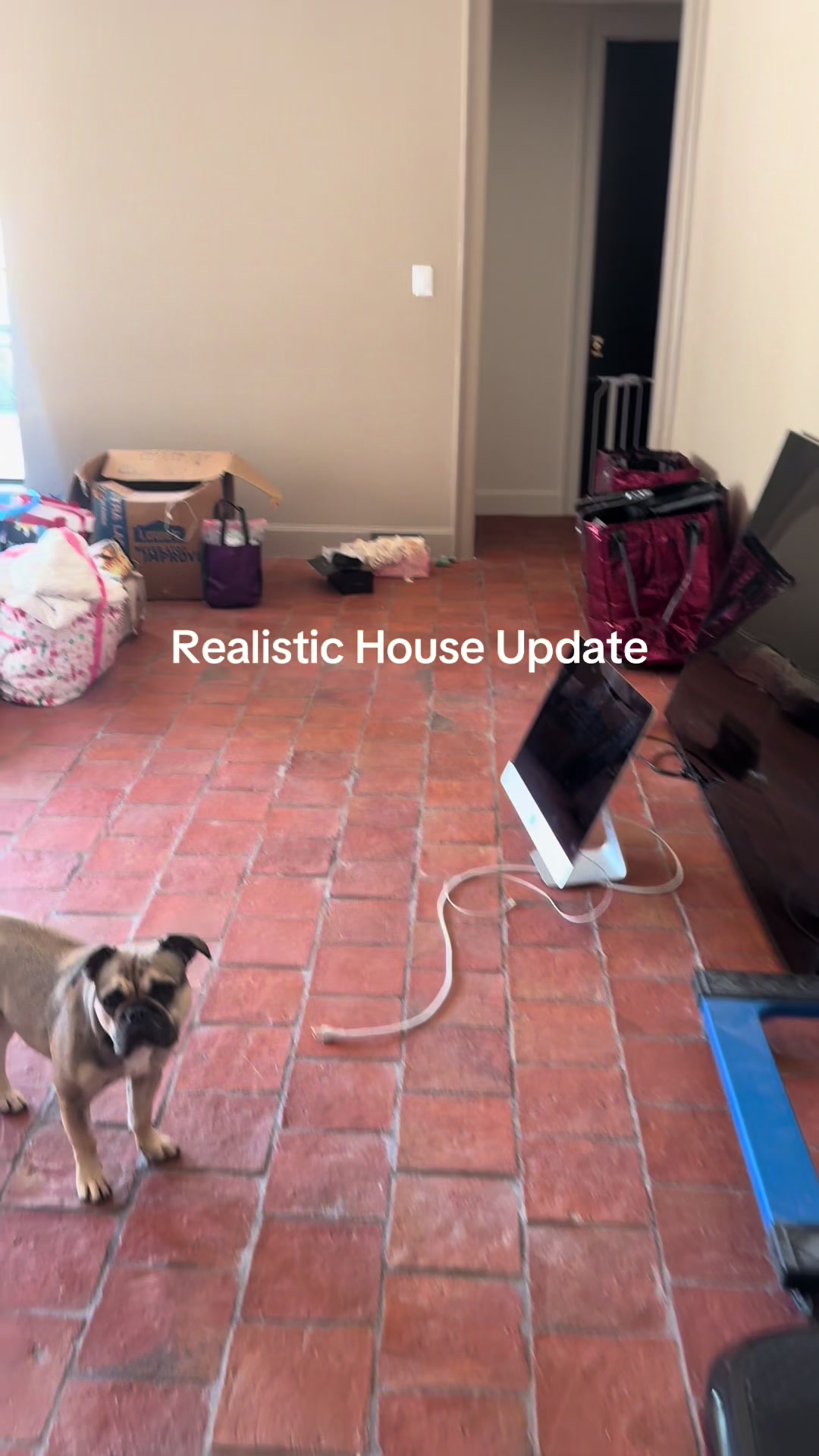 @HomebodyShan