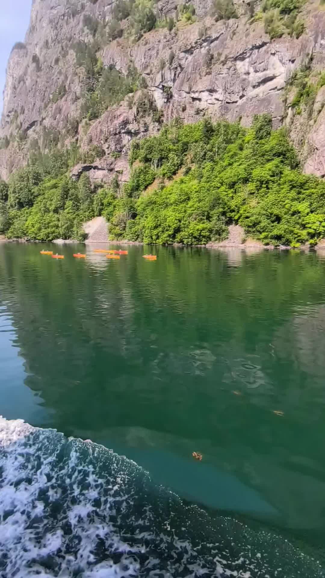 @Massimo 🇮🇹