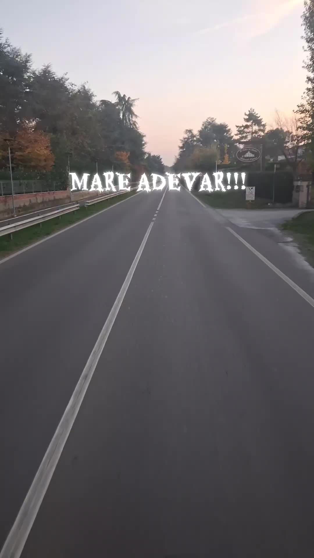 @BODO《SV93XXL》
