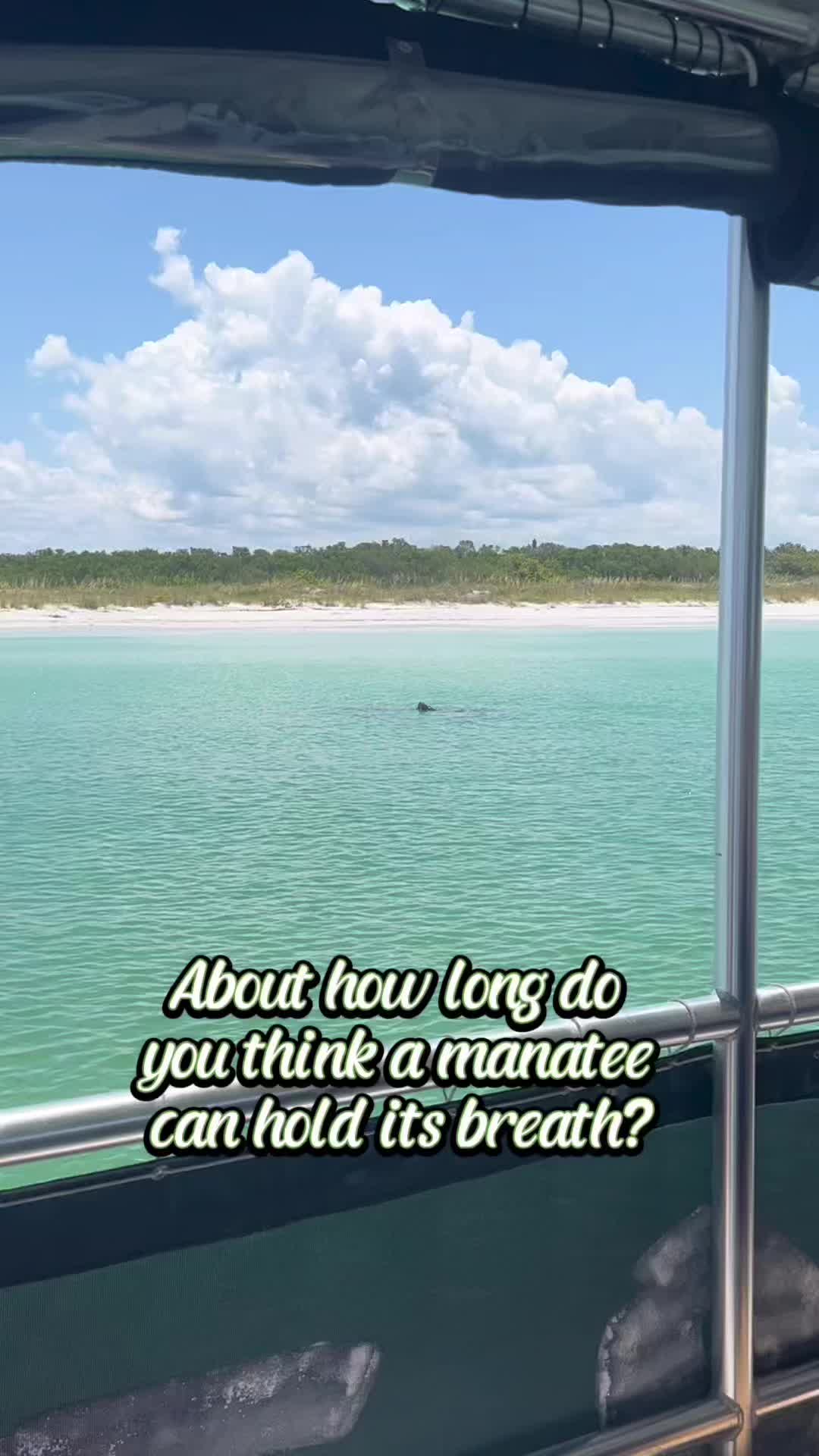 @Your Ocean BFF & Fun Facts🪼