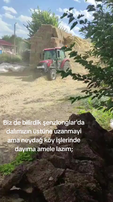 @SİNAN YAL&Ccedil;IN