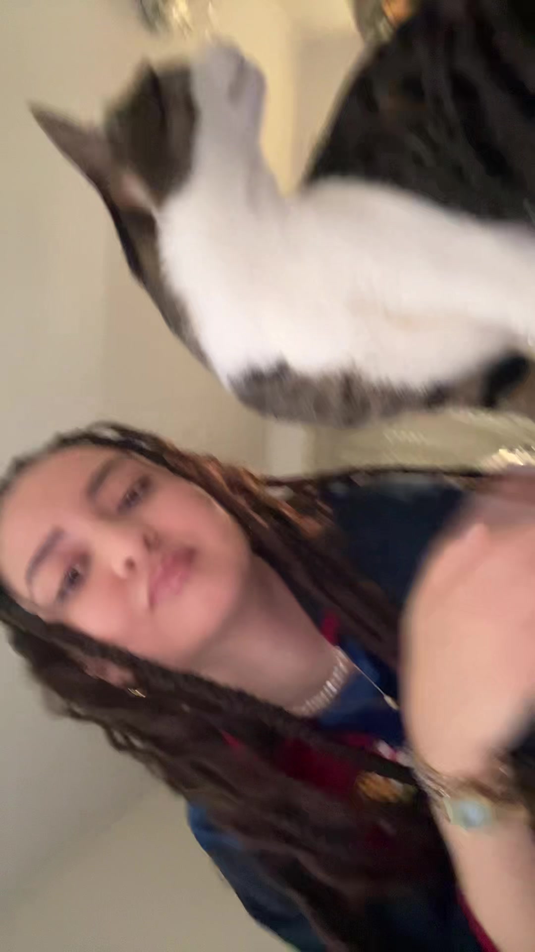 @desp