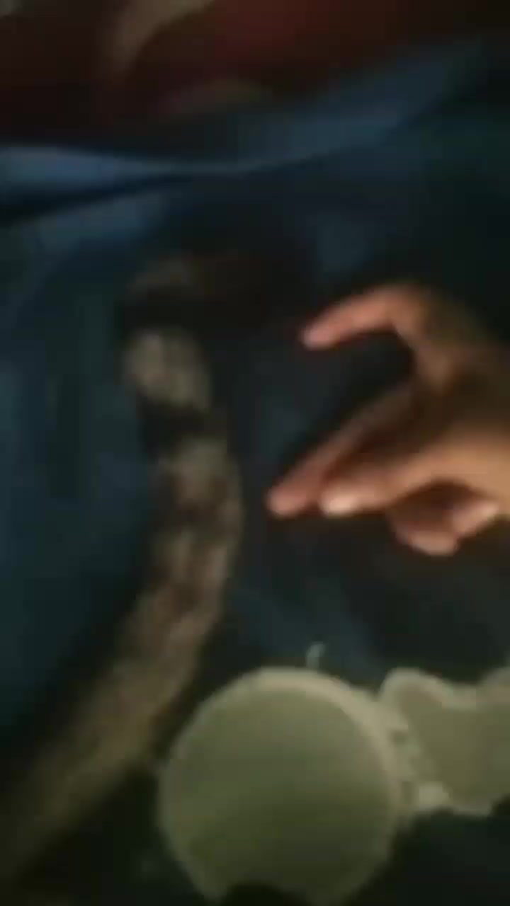 @https://www.tiktok.com/@bachit