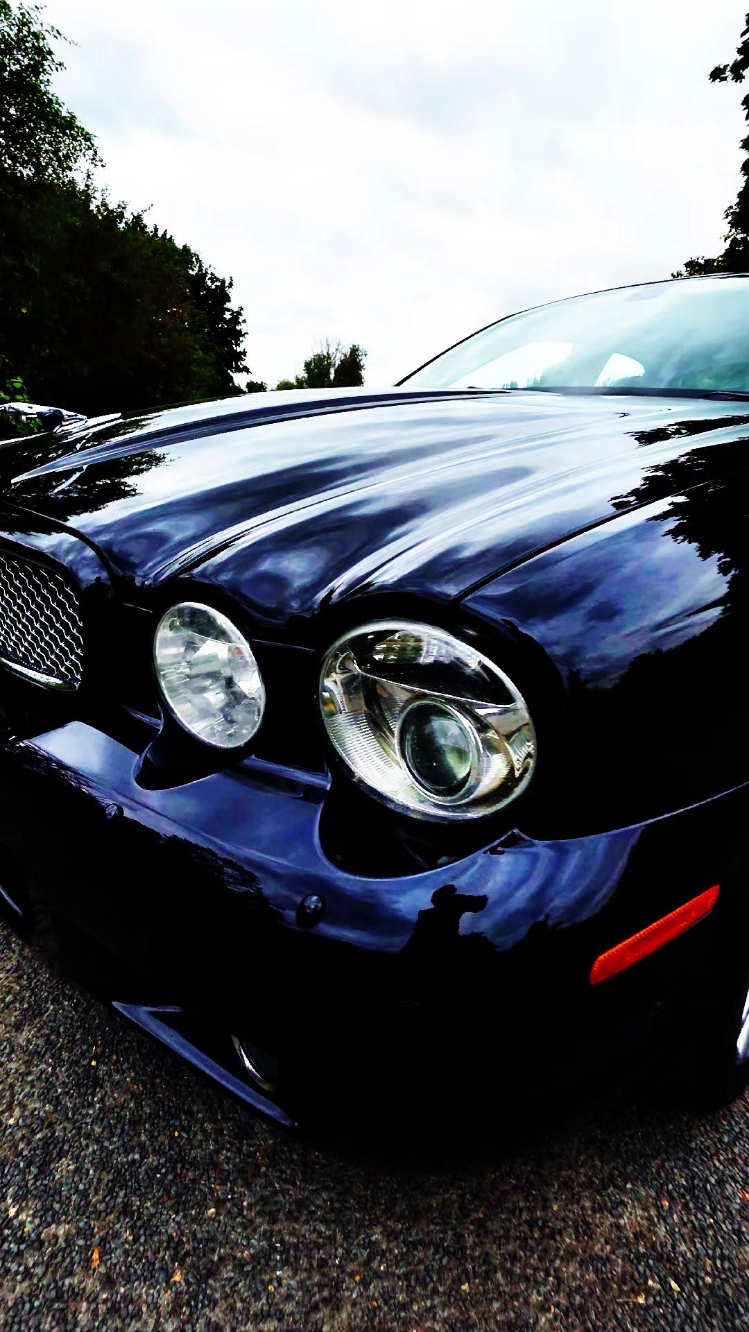 @Landbeasts Automobile
