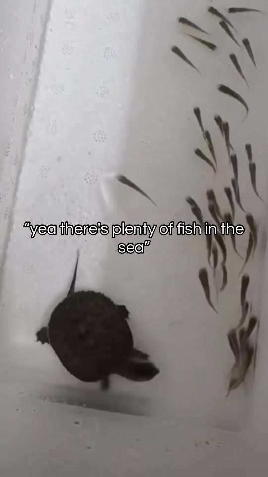 @A
