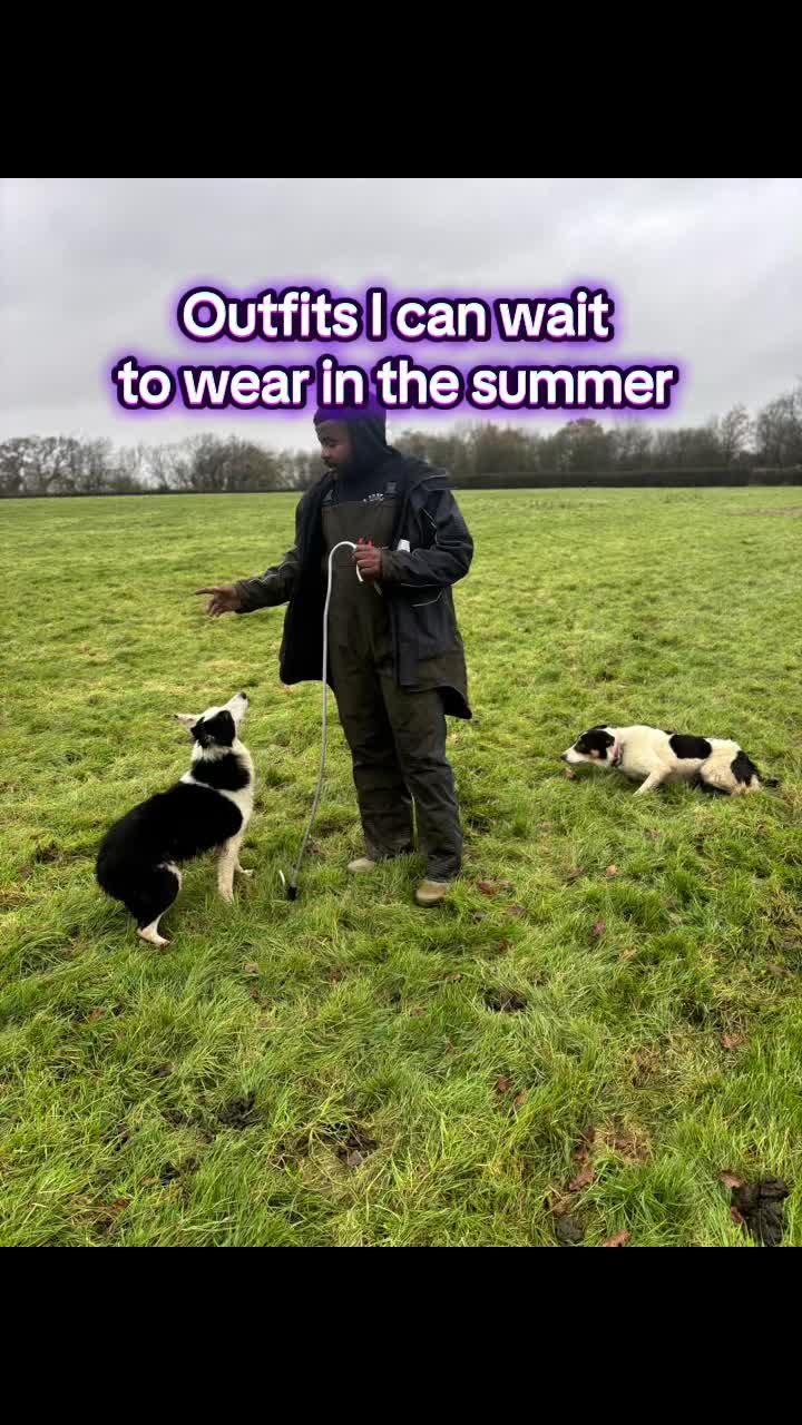 @Life in the Dog lane