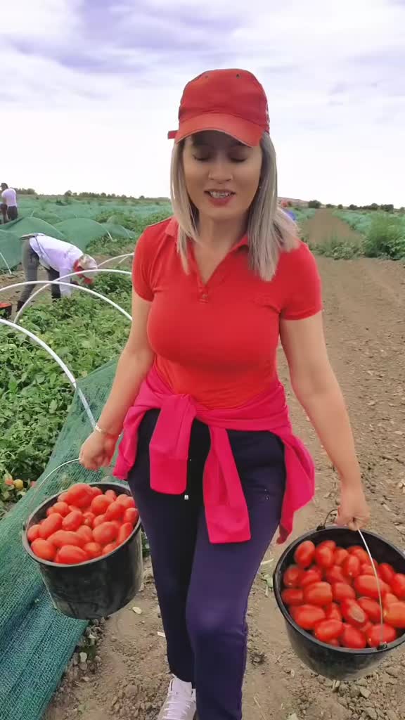 @FERMA VESELA
