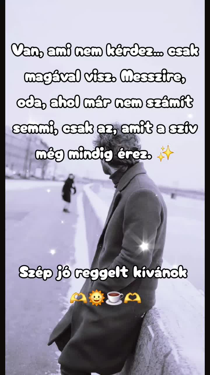 @👑Picisárika👑