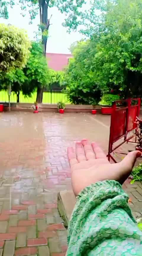 @Rabia Tasleem