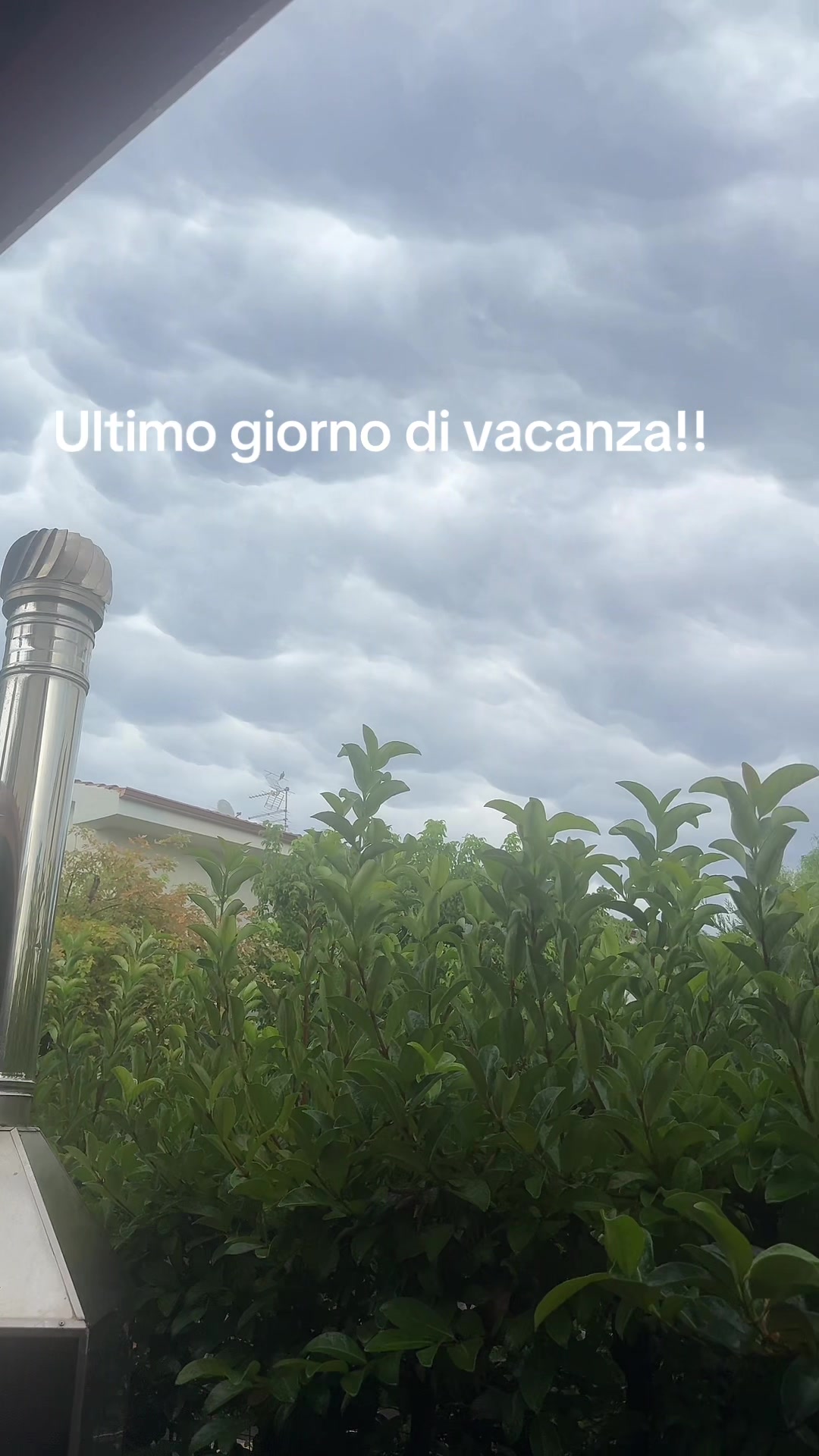 @Alessia Veltri