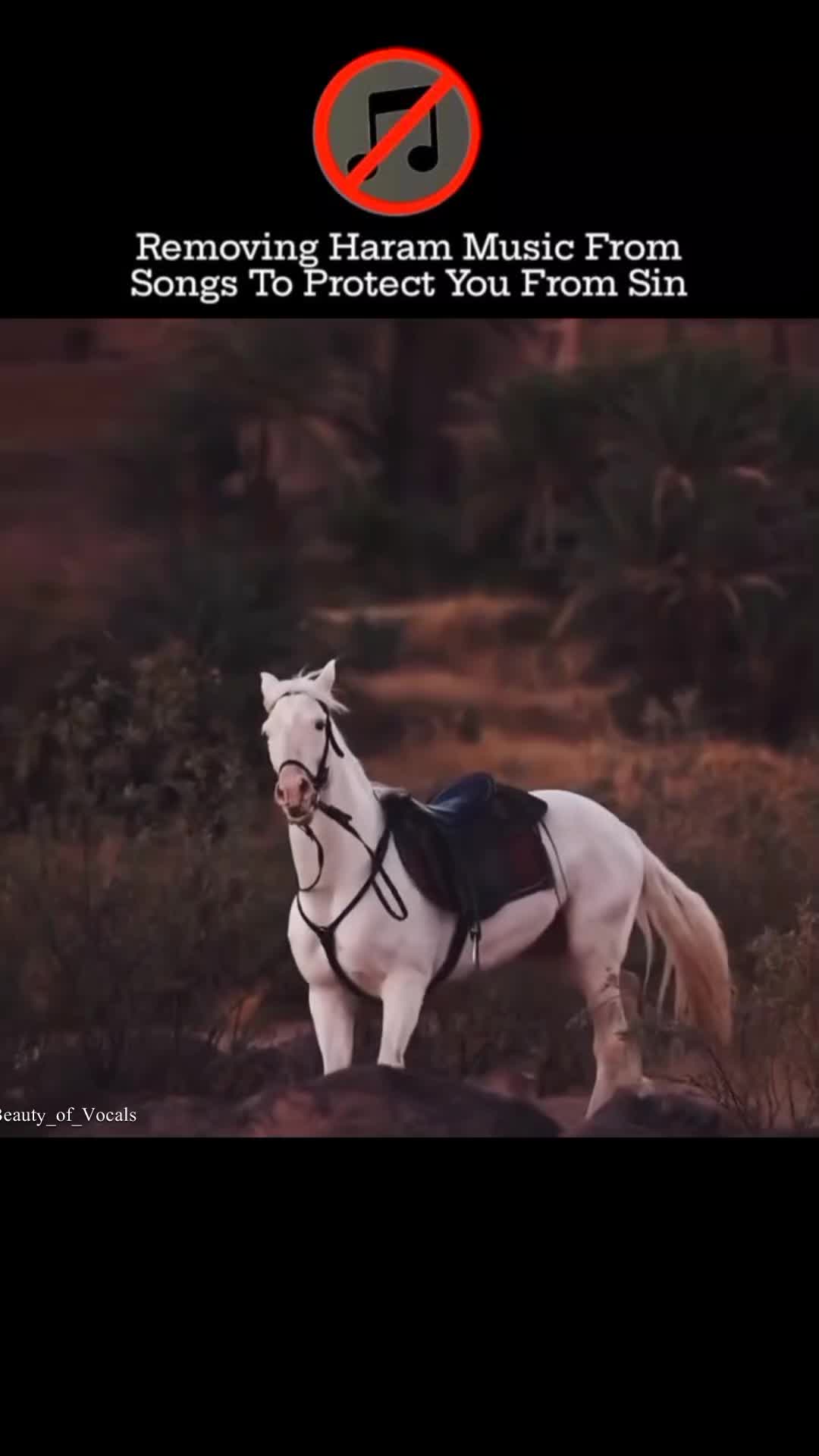 @𝐁𝐞𝐚𝐮𝐭𝐲_𝐨𝐟_𝐕𝐨𝐜𝐚𝐥𝐬