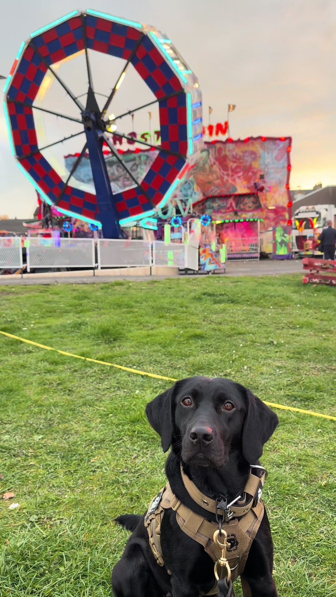 @themworkingdogs🏴