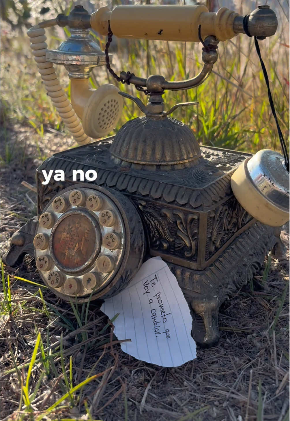 @VeggiBoy