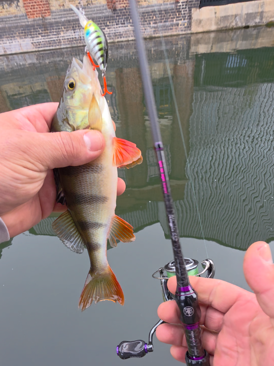 @BF Angler