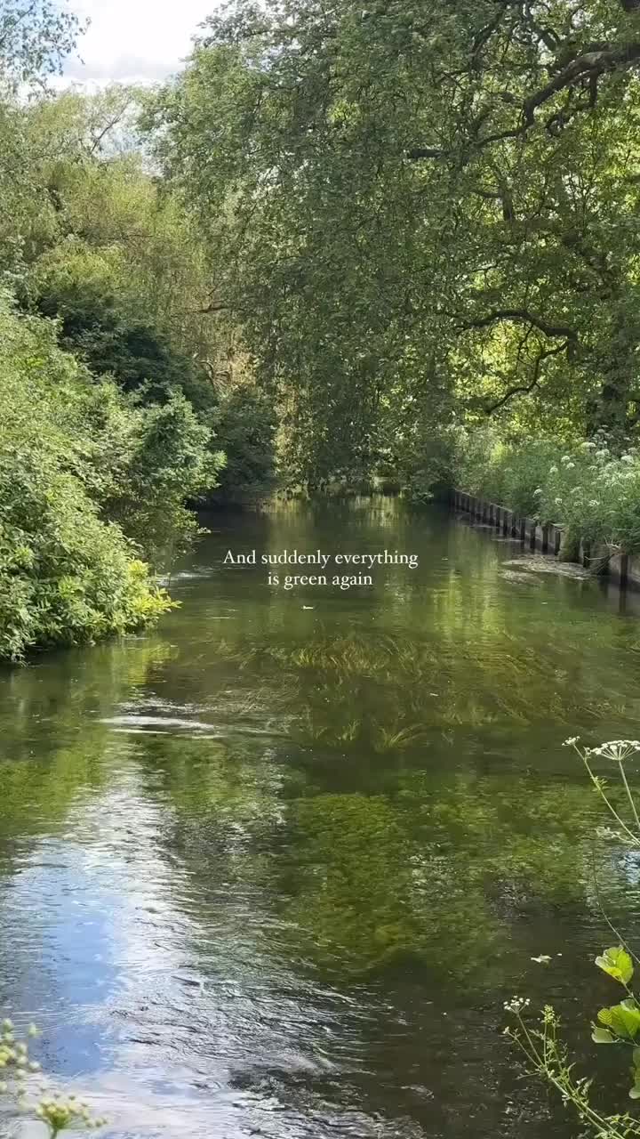 @NaturewithVee✨