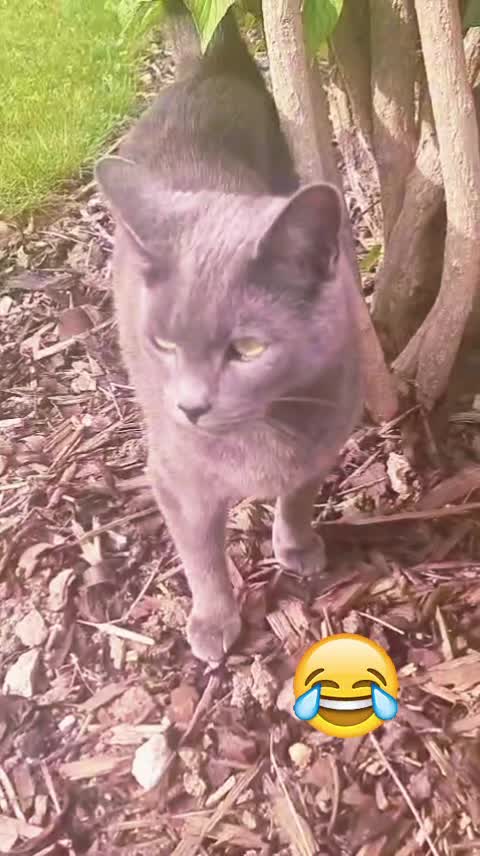 @Zubi🙋♀️زوبی