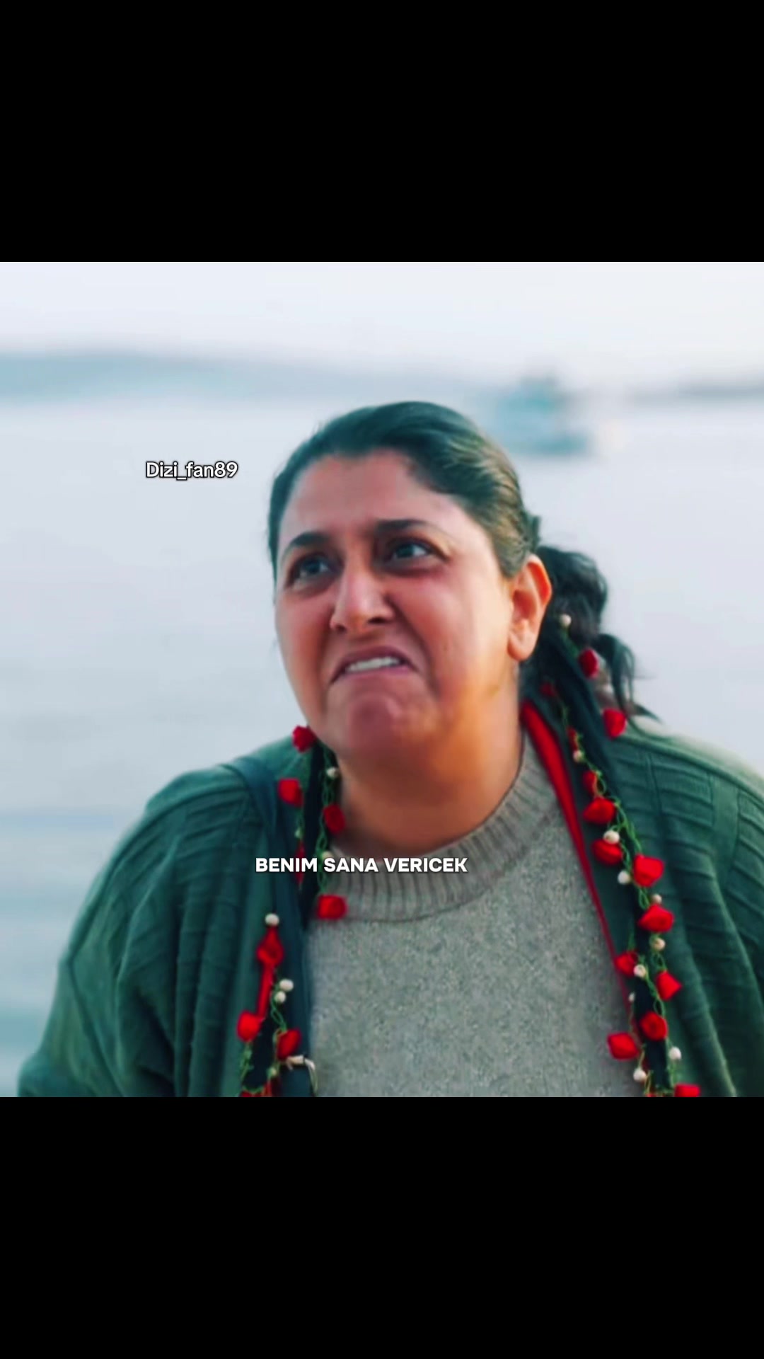 @Dizi Fan