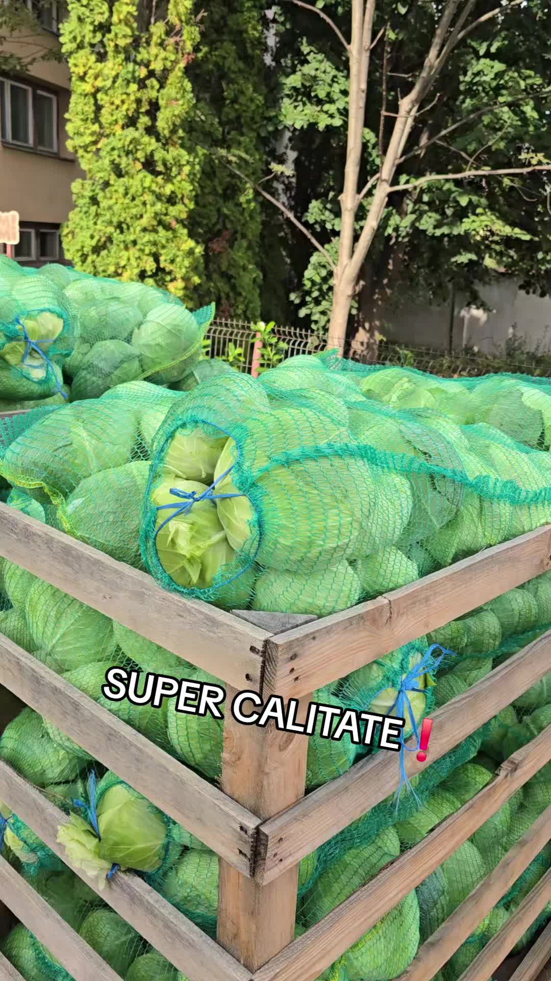 @Faze Farm