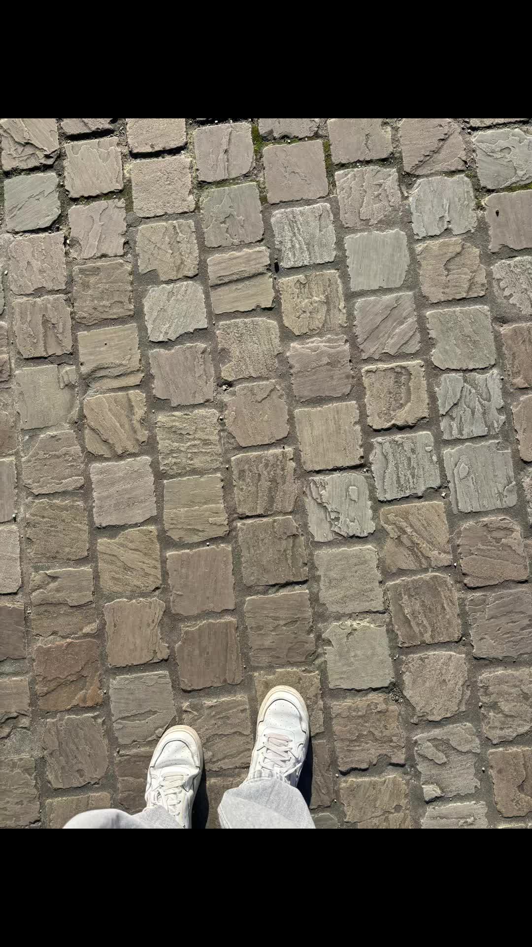 @🍁M&Delta;tieu &Pi; T🇫🇷