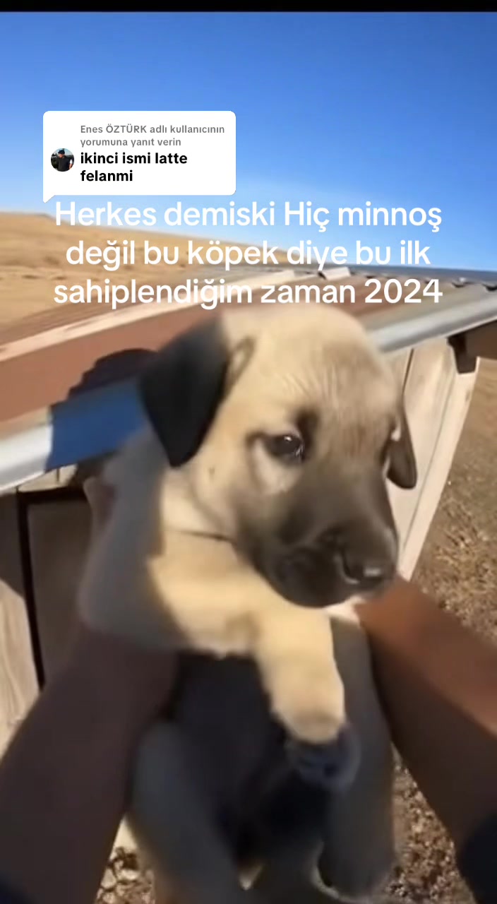@Naberyu🤖