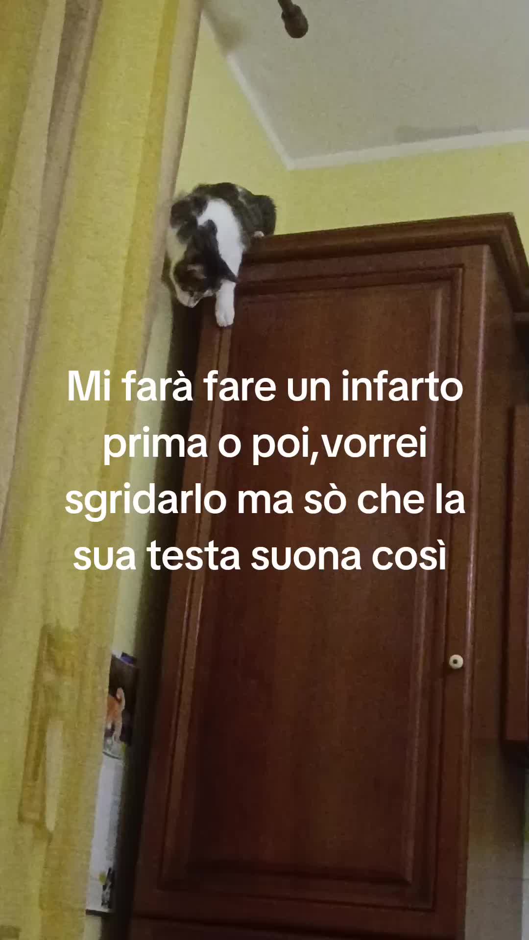 @Ramona Marchi