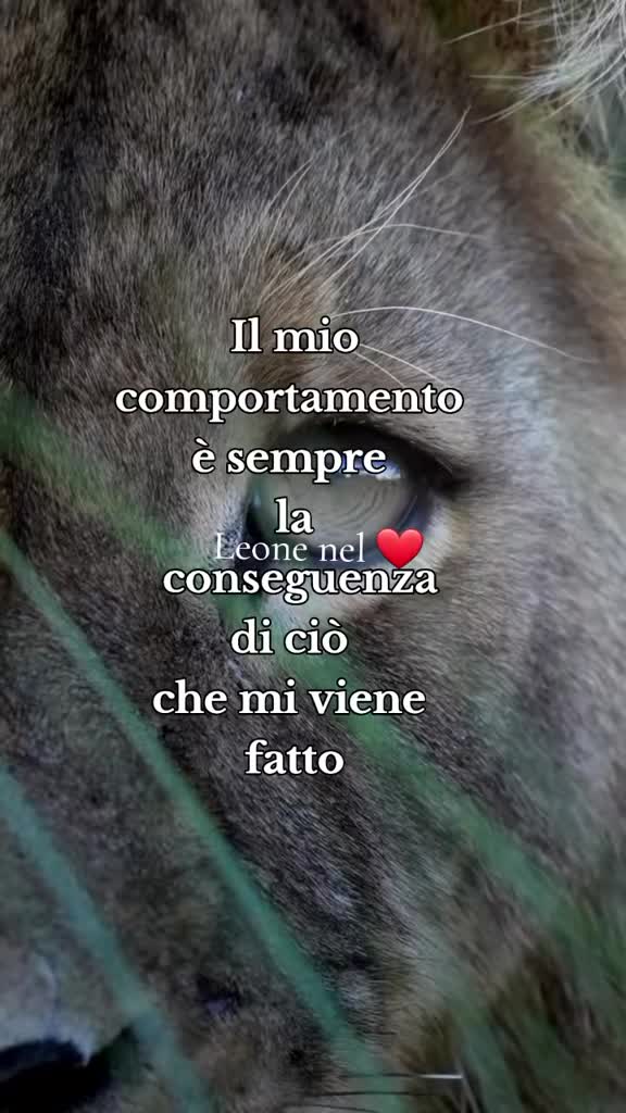 @leone nel ❤