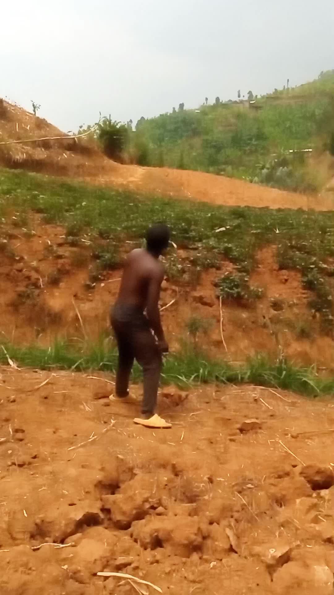 @sibomanajoseph666