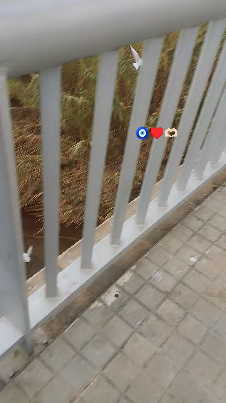 @🇪🇸Spainlife🇵🇰