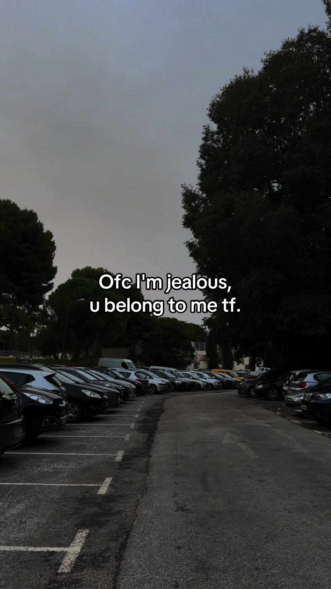 @stqha
