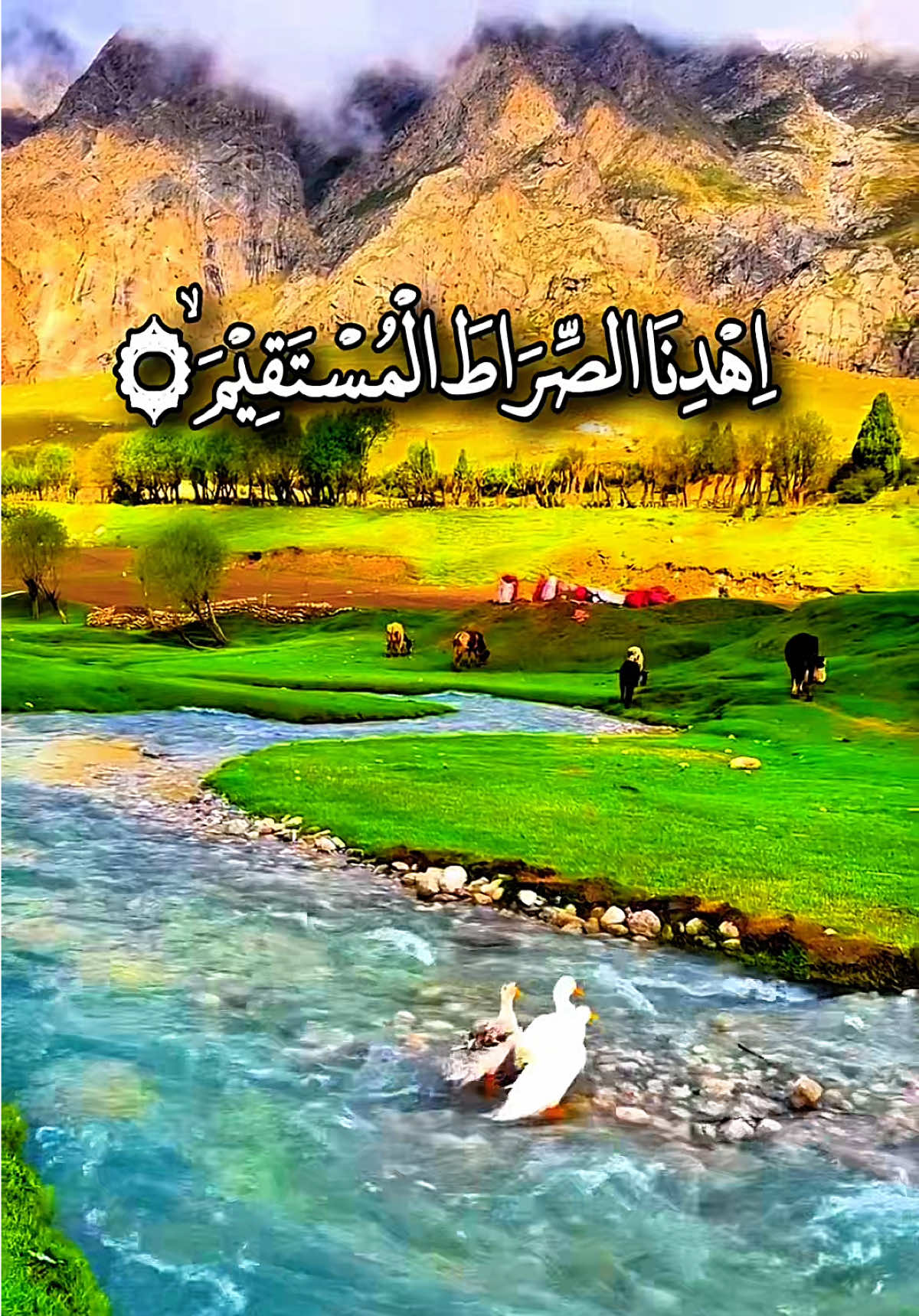 @allah waly