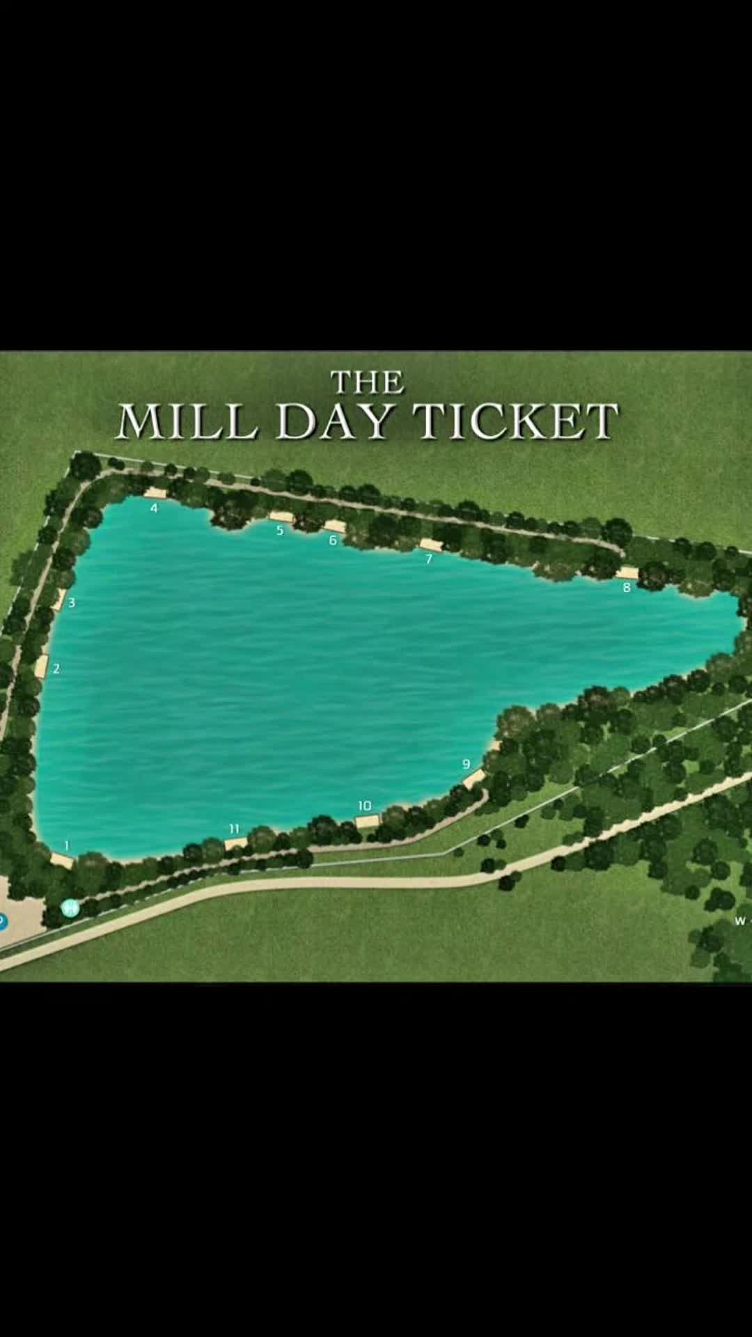 @Carp Fishing TheMillDayticket