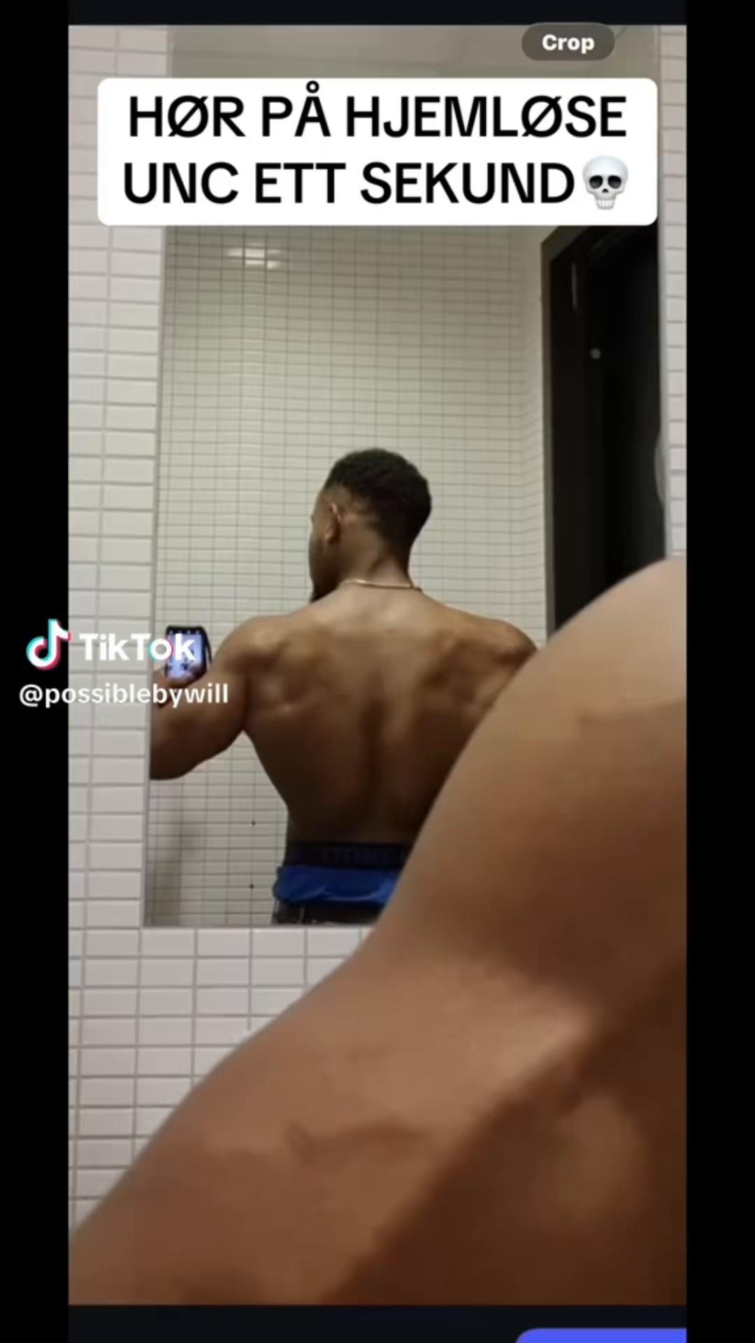 @butterflywarlord