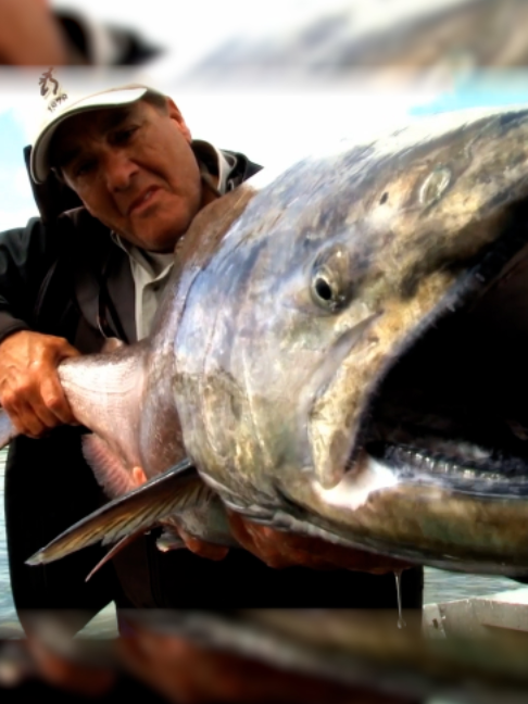 @Fishing TV