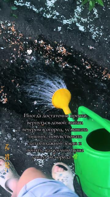 @Бабылыч🦥