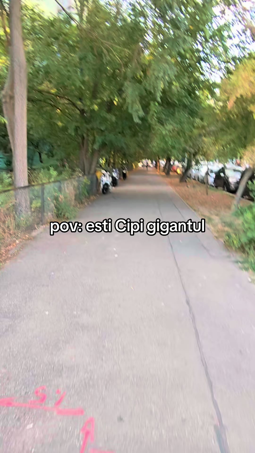 @cipiraw
