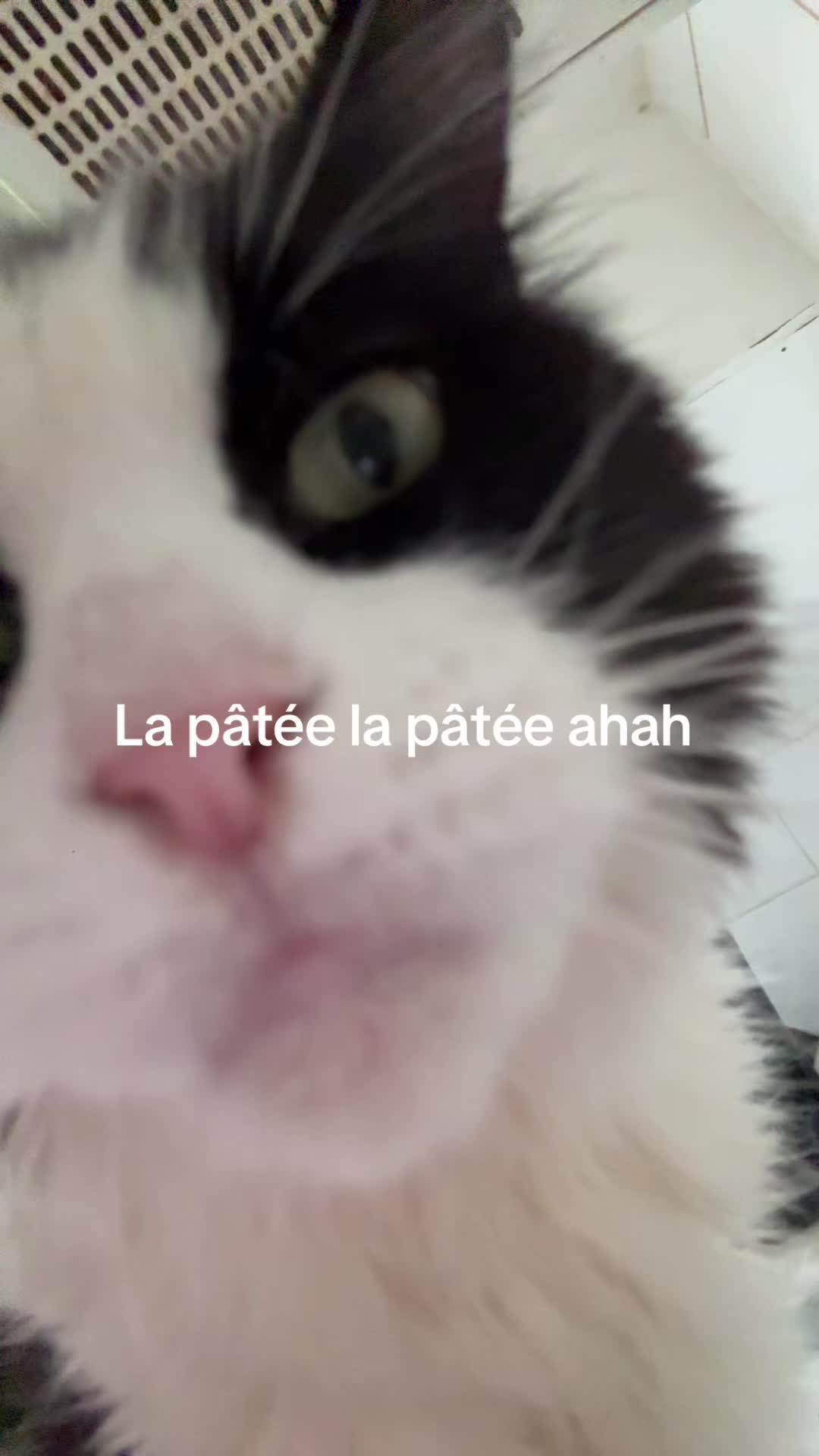 @Auro 🐍